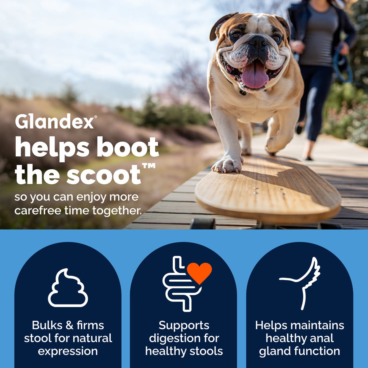 Glandex® Anal Gland Health Powder for Dogs & Cats