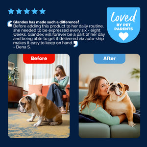Glandex® Anal Gland Health Powder for Dogs & Cats