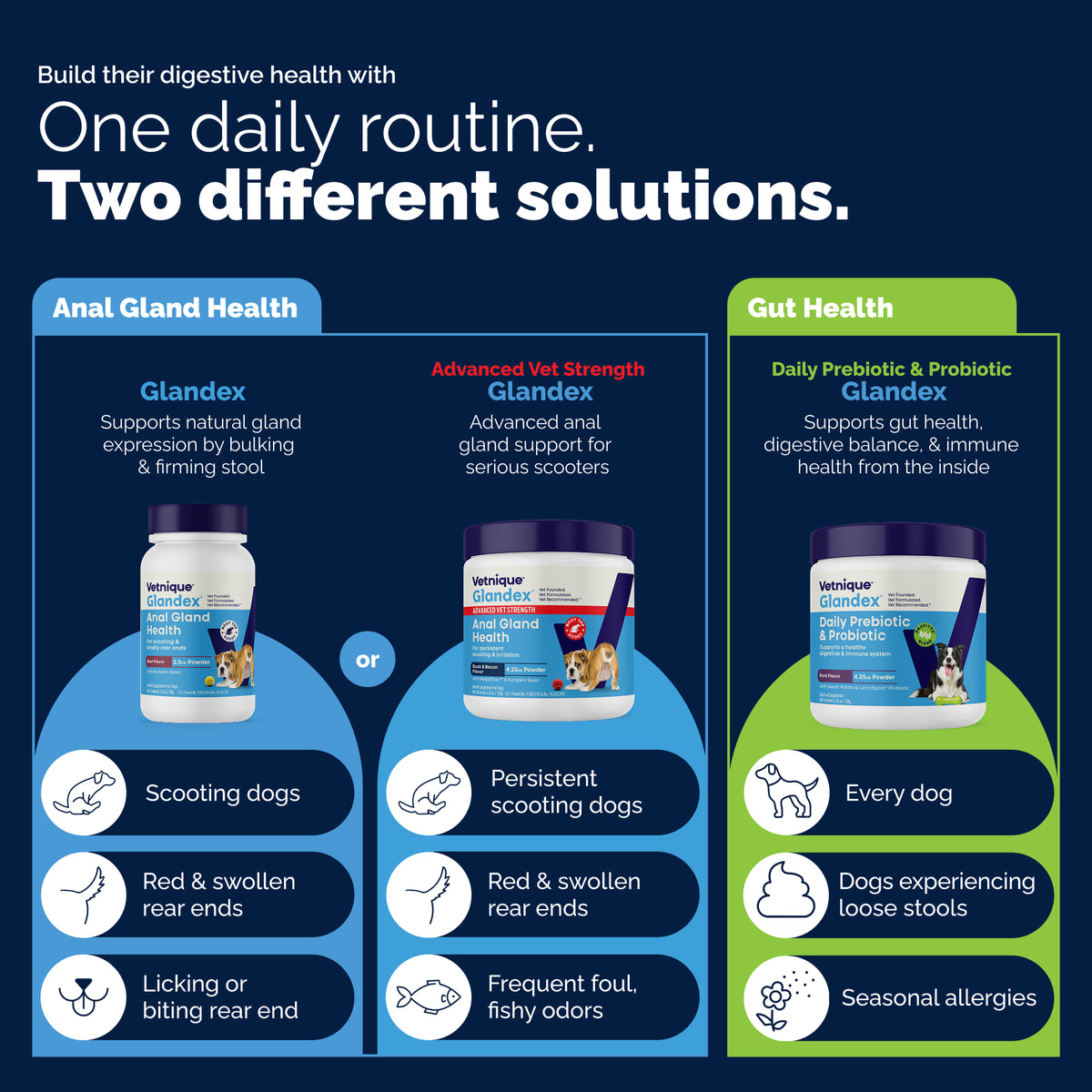 Glandex® Anal Gland Health Powder for Dogs & Cats