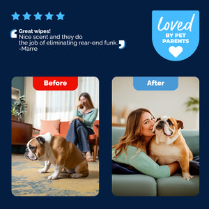 Glandex® Rear-End Hygiene Wipes for Dogs & Cats