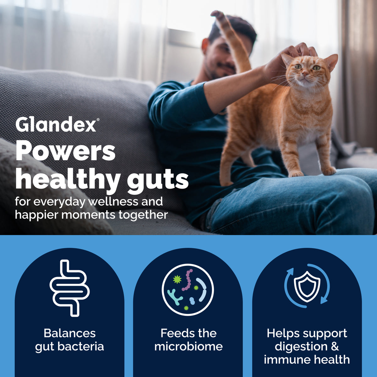 Glandex Daily Prebiotic & Probiotic Powder for Cats
