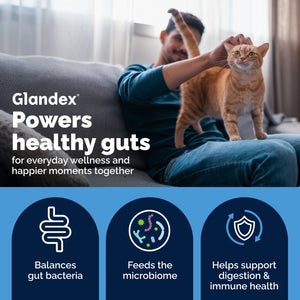 Glandex Daily Prebiotic & Probiotic Powder for Cats