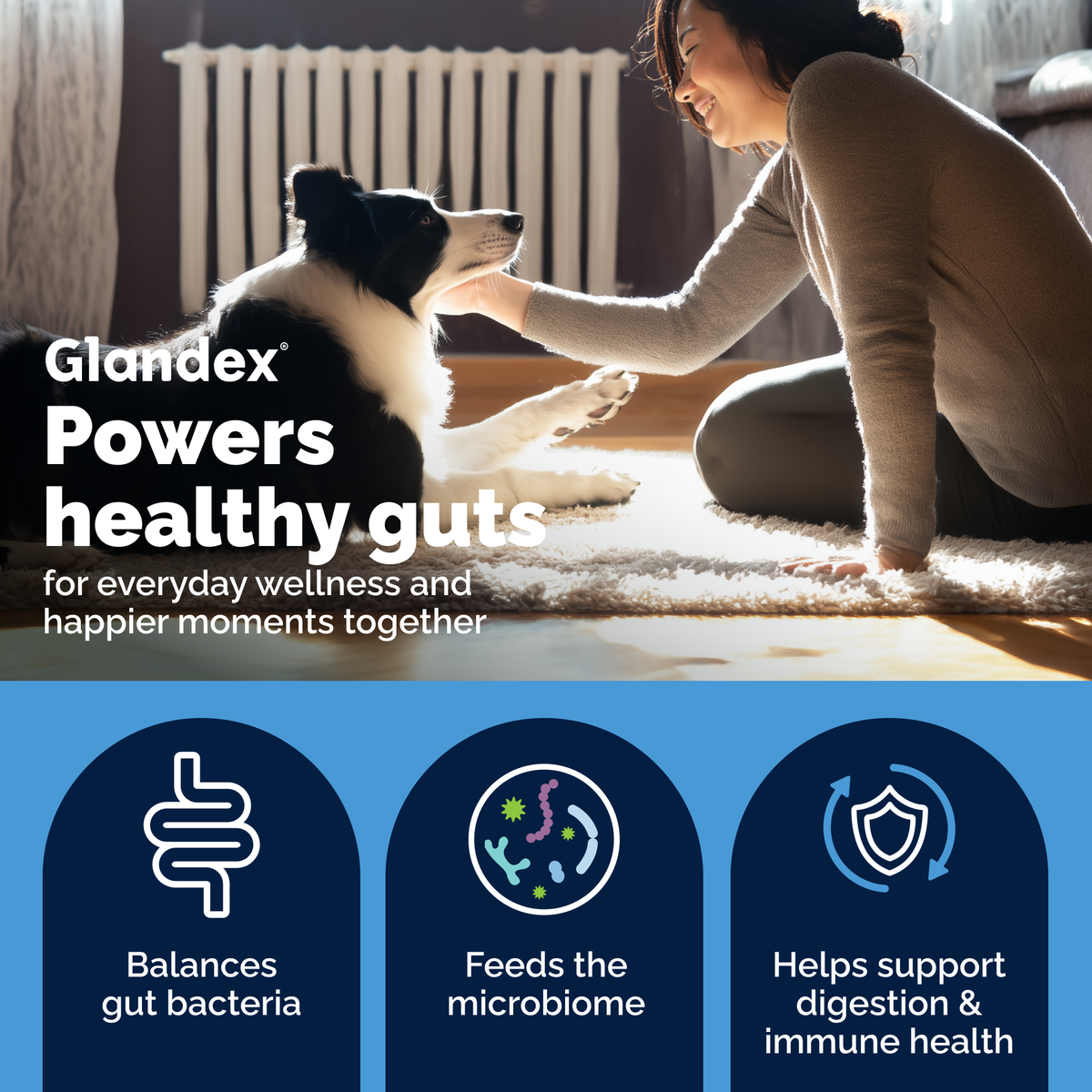 Glandex® Daily Prebiotic & Probiotic Soft Chews