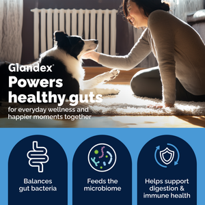 Glandex® Daily Prebiotic & Probiotic Soft Chews