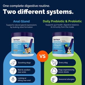 Glandex® Daily Prebiotic & Probiotic Soft Chews