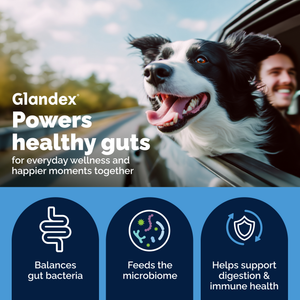Glandex® Daily Prebiotic & Probiotic Powder for Dogs