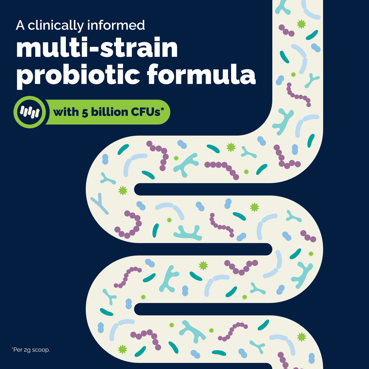 Glandex® Daily Prebiotic & Probiotic Soft Chews