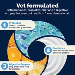 Glandex® Daily Prebiotic & Probiotic Powder for Dogs