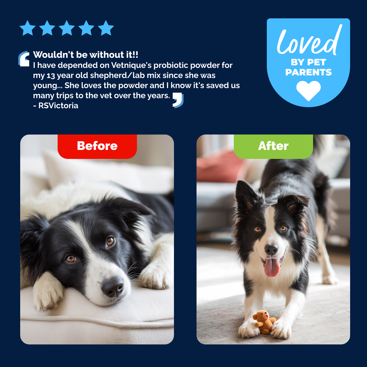 Glandex® Daily Prebiotic & Probiotic Powder for Dogs