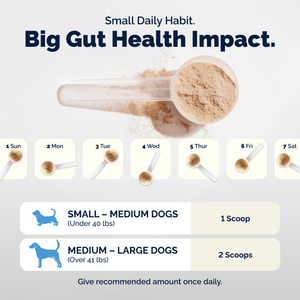 Glandex® Daily Prebiotic & Probiotic Powder for Dogs
