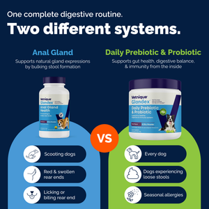 Glandex® Daily Prebiotic & Probiotic Powder for Dogs