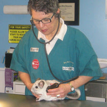 Vet image Headshot Image