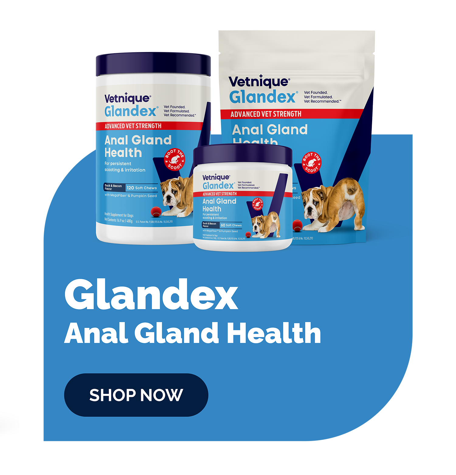 Glandex Anal Gland Health products on a blue background with 'Shop Now' button