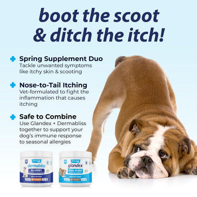 Seasonal Allergy and Anal Gland Supplement Bundle: Boot the scoot and ditch the itch