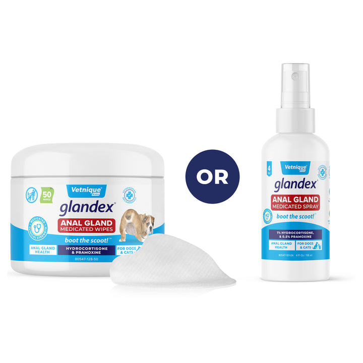 hydrocortisone spray for cats