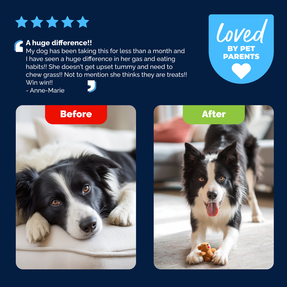 Glandex® Daily Prebiotic & Probiotic Soft Chews