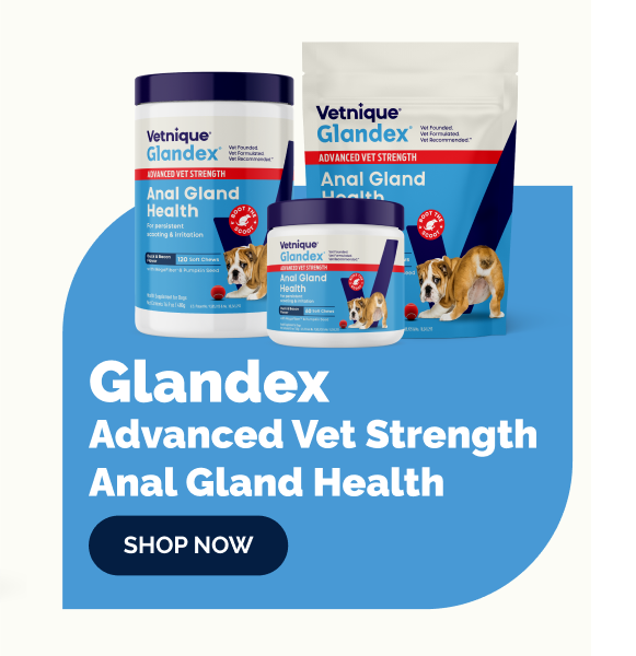 Three Vetnique Glandex Anal Gland Health products with a blue accent and 'Shop Now' button.