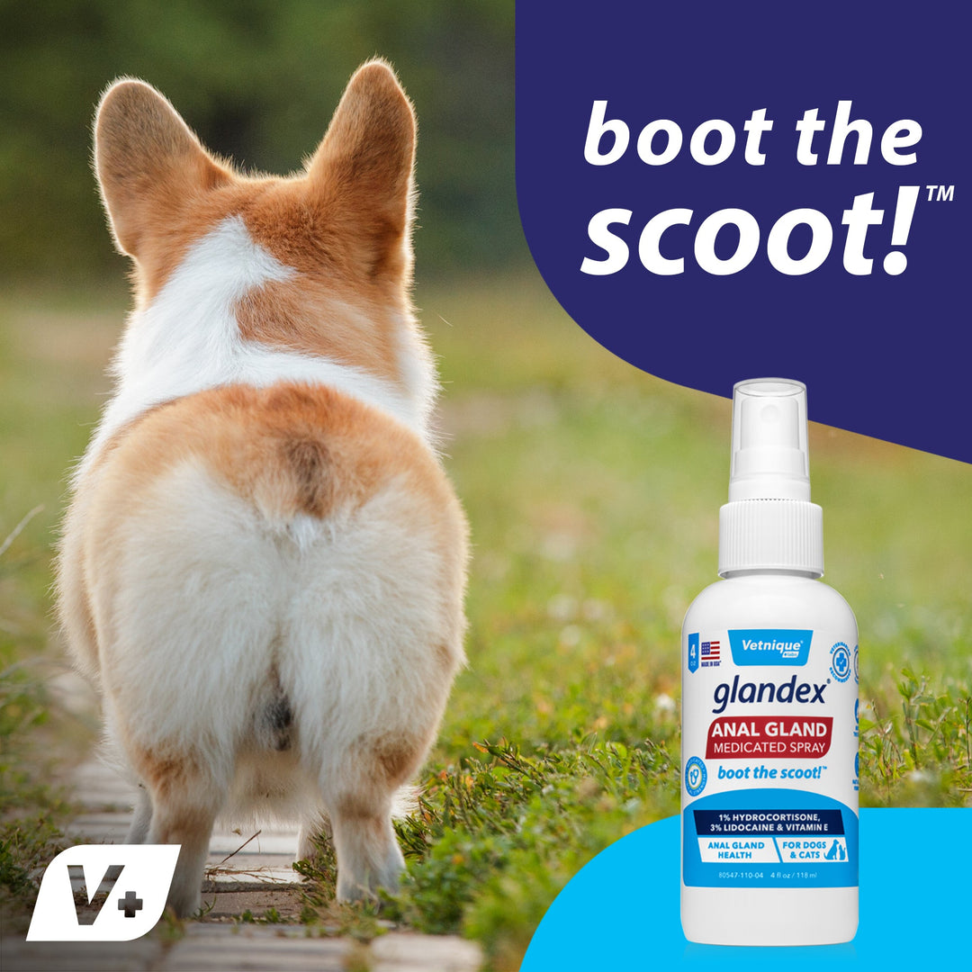 Glandex® Wipes Spray Anal Gland Care for Dogs Cats Vetnique