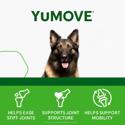 YuMOVE Joint Supplement for Adult Dogs I Soft Chews