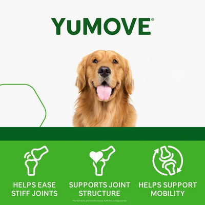 YuMOVE Joint Supplement for Adult Dogs I Tablets