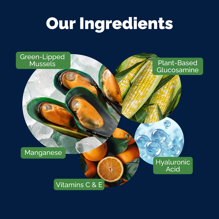 Illustration of ingredients including green-lipped mussels, corn, oranges, and other elements on a blue background with text labels.