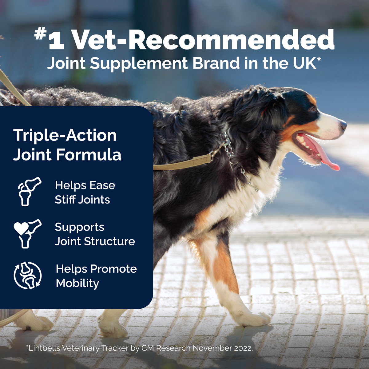 YuMOVE Hip & Joint Health for Extra-Large Dogs