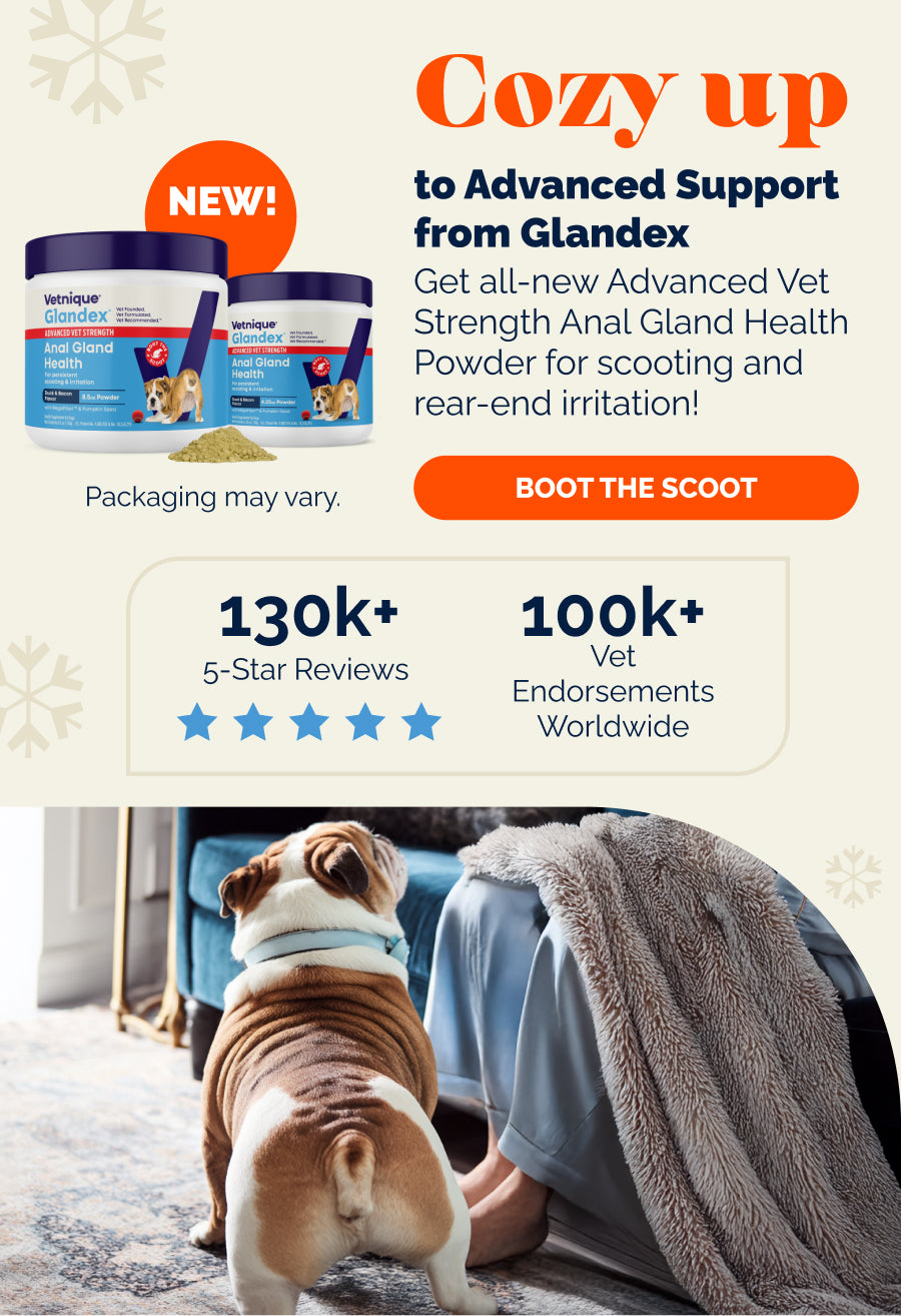 Cozy up to Advanced Support from Glandex. Get all-new Advanced Vet Strength Anal Glad Health Powder for scooting and rear-end irritation! Boot the scoot.

130k+ 5-Star Reviews.
100k+ Vet Endorsements Worldwide.

Pictured: New! Glandex Advanced Vet Strength powder. Packaging may vary. Rear end of an English bulldog standing next to a human in pajamas sitting on a blue couch.