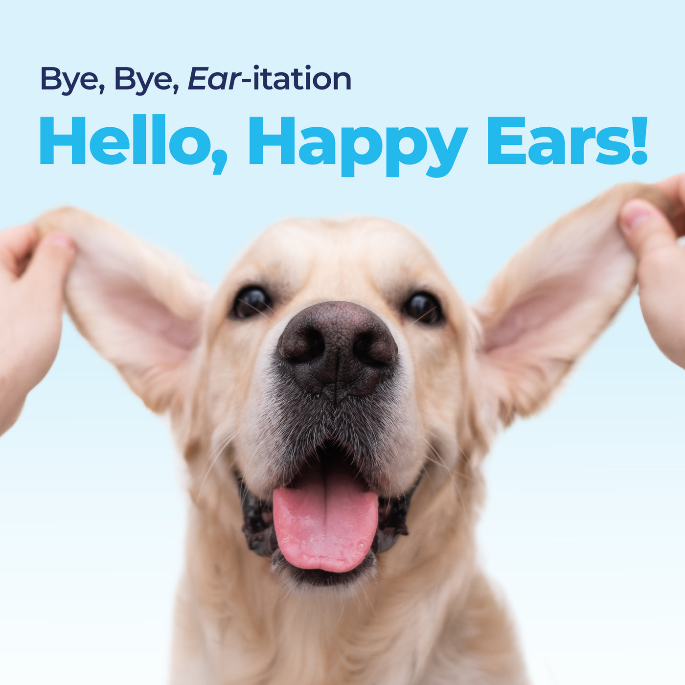 Oticbliss™ Medicated Ear Drops for Dogs and Cats