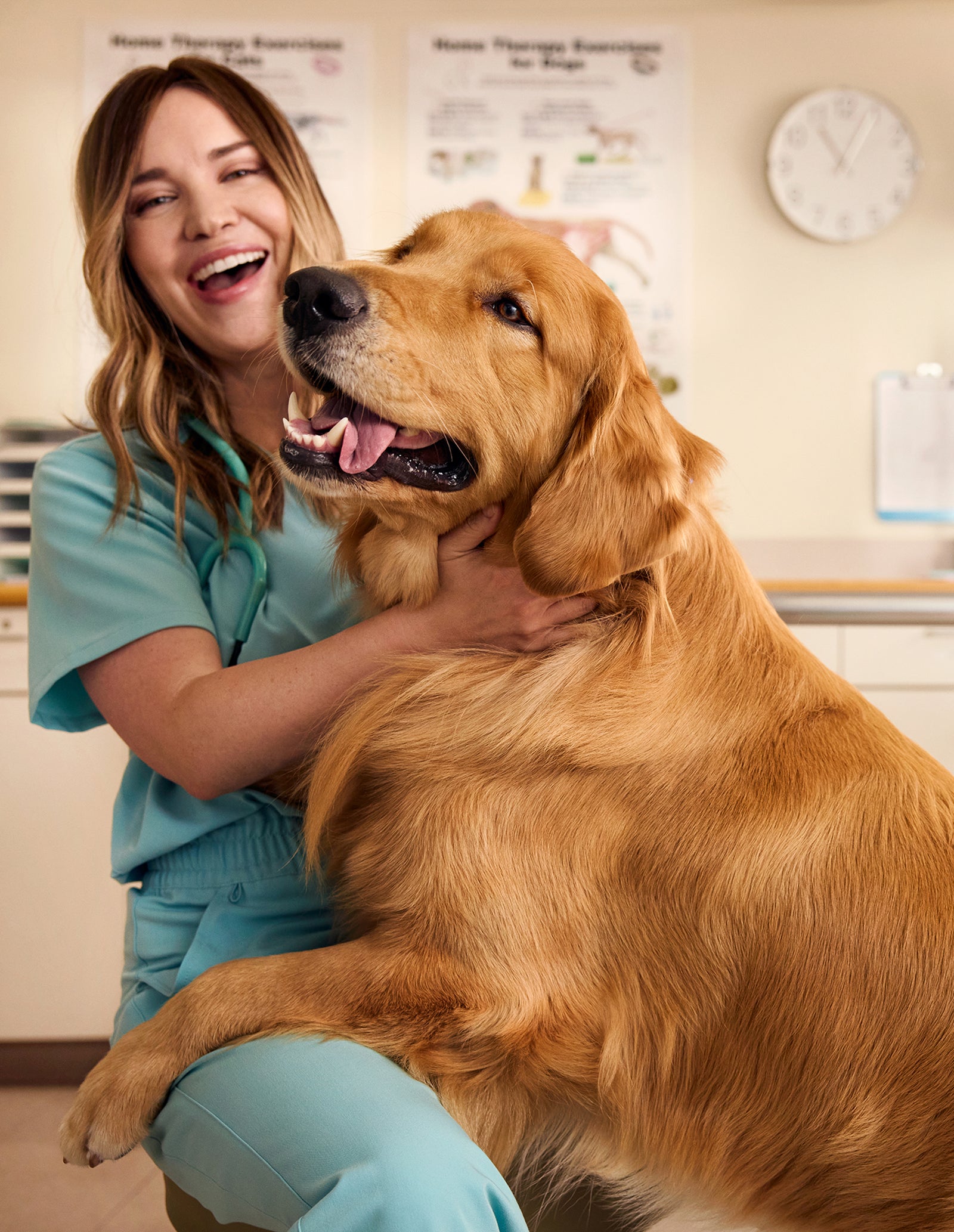 Veterinarian in blue scrubs hugging a golden retriever in a veterinary clinic.