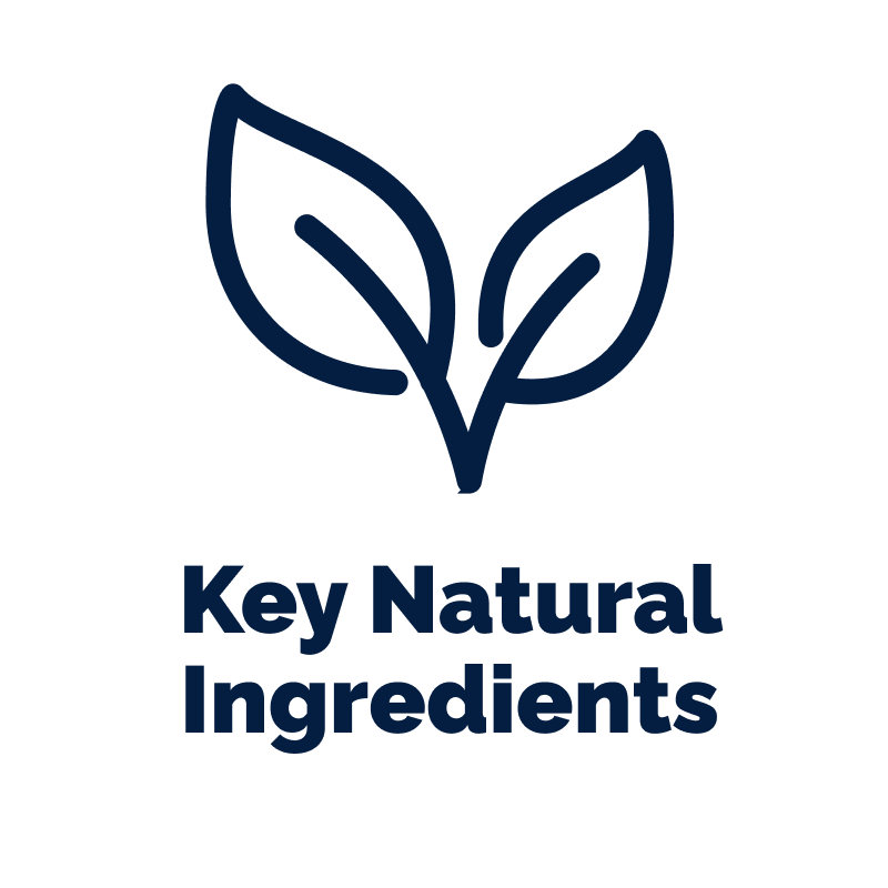 Logo with two leaves and 'Key Natural Ingredients' text on a white background