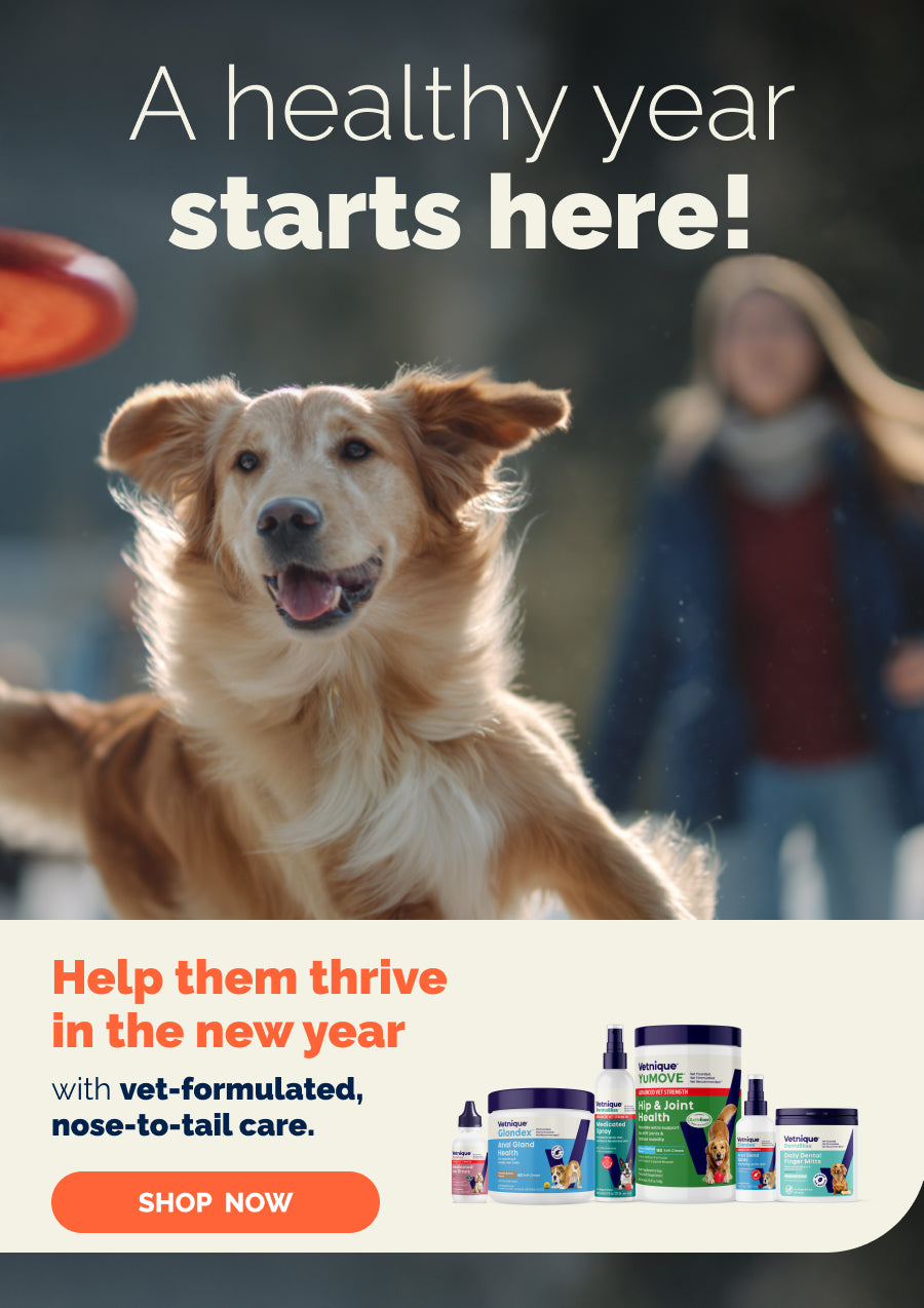 A healthy new year starts here! Help them thrive in the new year with vet-formulated, nose-to-tail care. Shop Now.

Pictured: Six Vetnique products. Golden retriever attempting to catch an orange frisbee with owner in background.
