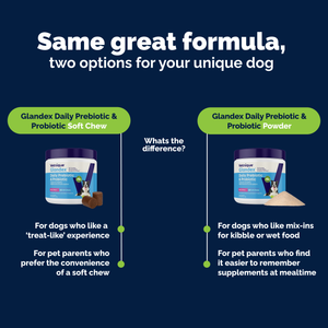 Glandex® Daily Prebiotic & Probiotic Soft Chews