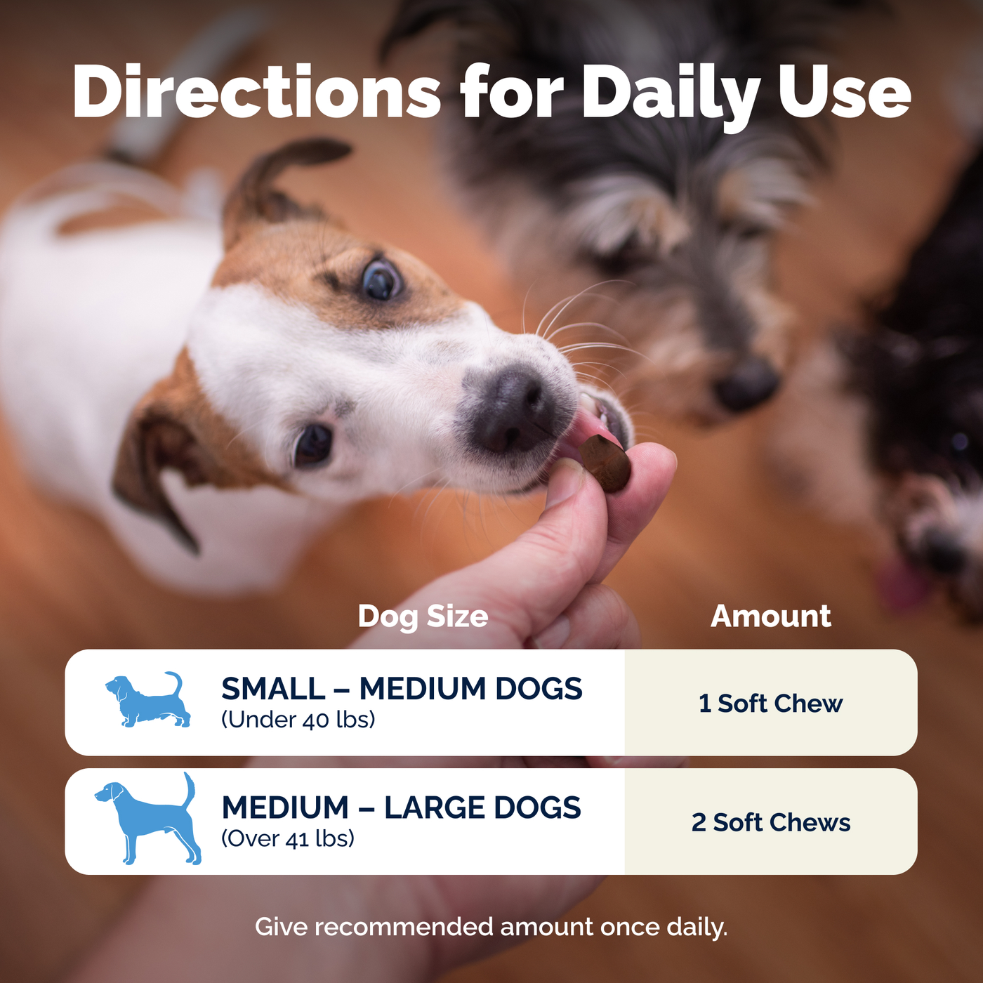 Glandex® Daily Prebiotic & Probiotic Soft Chews & Powder