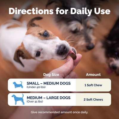 Glandex® Daily Prebiotic & Probiotic Soft Chews & Powder