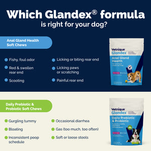 Glandex® Daily Prebiotic & Probiotic Soft Chews