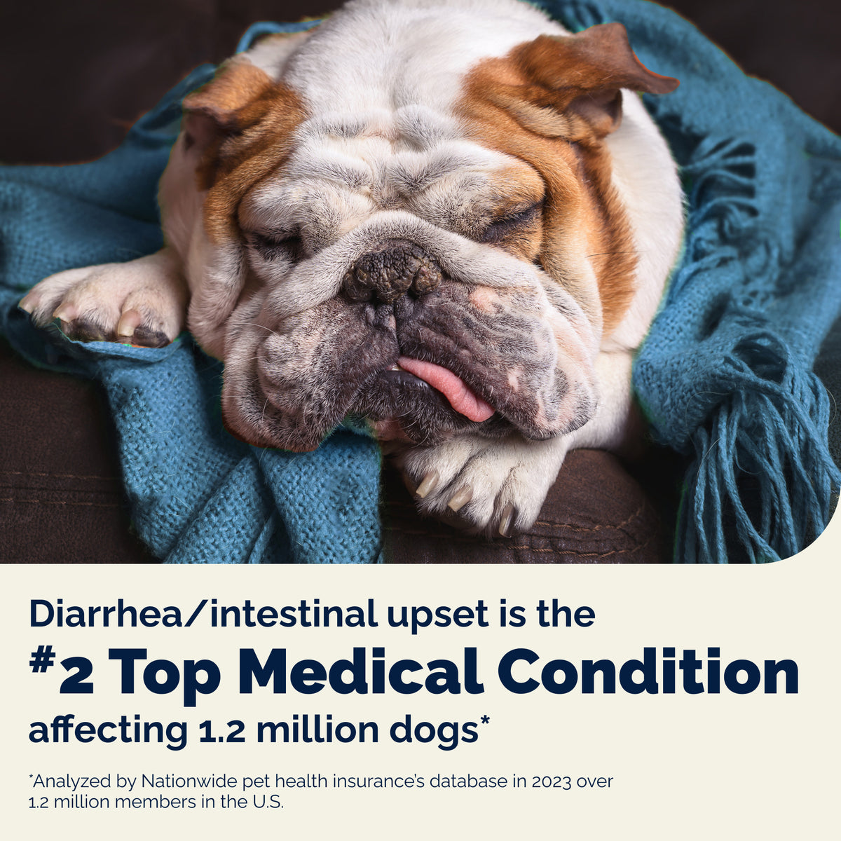 Glandex® Daily Prebiotic & Probiotic Powder for Dogs