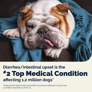 Glandex® Daily Prebiotic & Probiotic Powder for Dogs