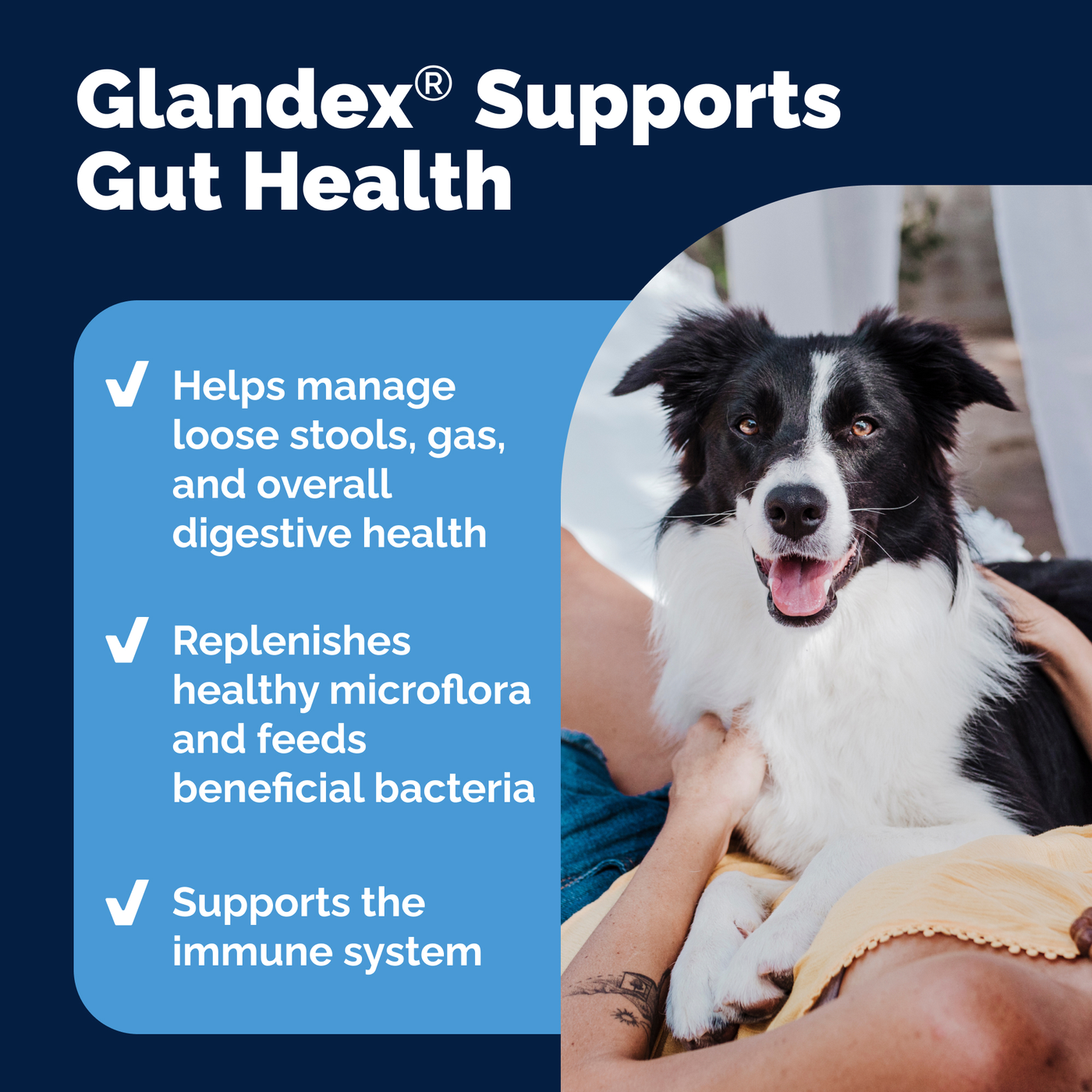 Glandex® Daily Prebiotic & Probiotic Soft Chews & Powder