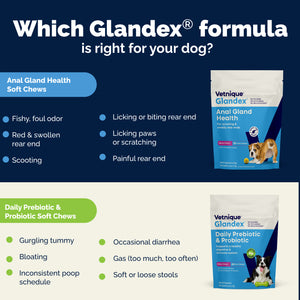 Glandex® Daily Prebiotic & Probiotic Powder for Dogs