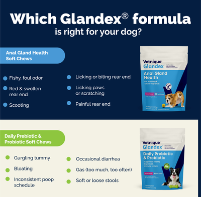 Glandex® Daily Prebiotic & Probiotic Soft Chews & Powder