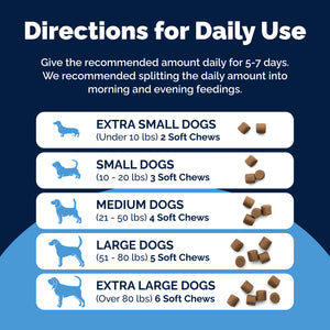 Glandex® Rapid Digestive Support Chews for Dogs