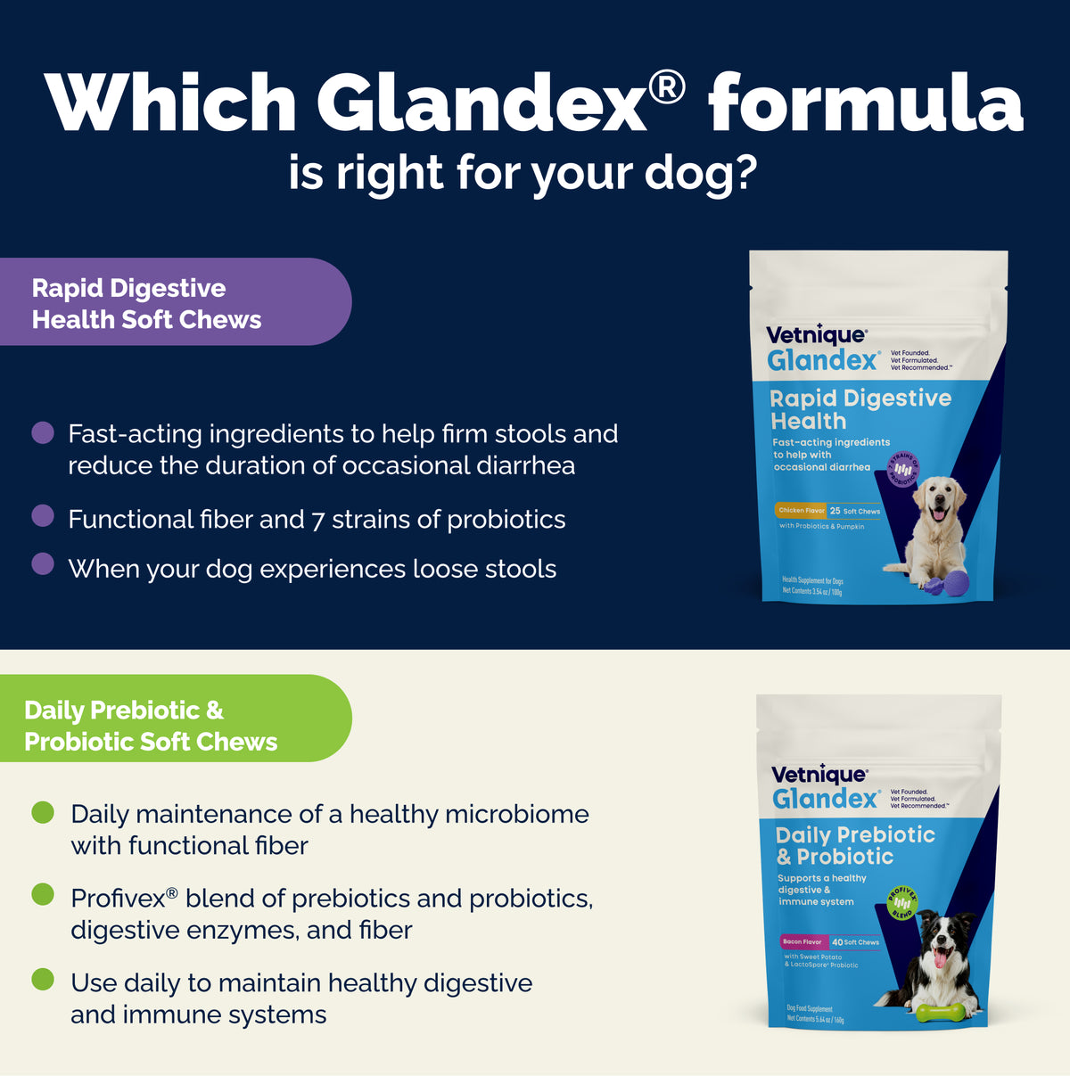 Glandex® Rapid Digestive Support Chews for Dogs