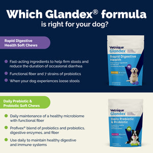 Glandex® Rapid Digestive Support Chews for Dogs