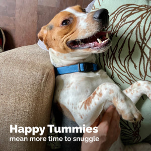 Glandex® Rapid Digestive Support Chews for Dogs