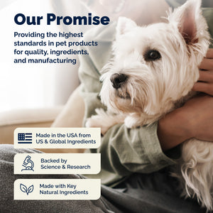 Glandex® Rapid Digestive Support Chews for Dogs