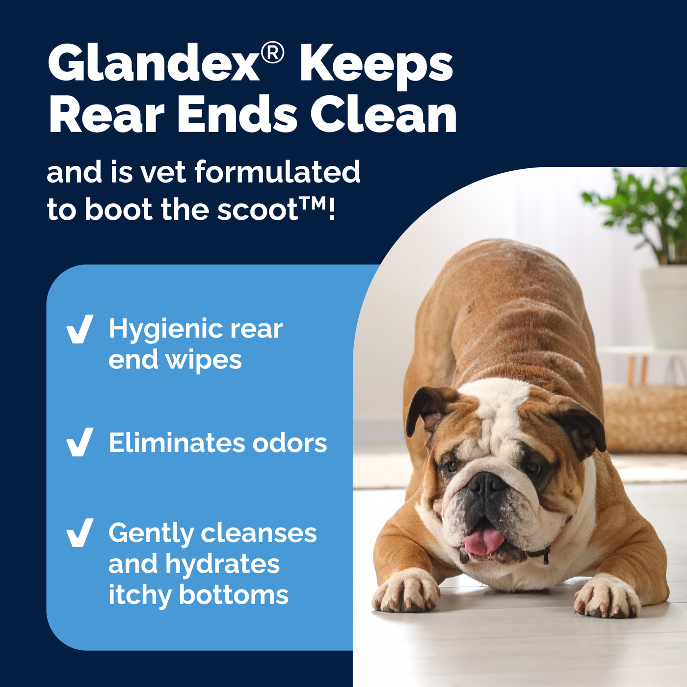 Glandex® Anal Gland Wipes for Dogs & Cats
