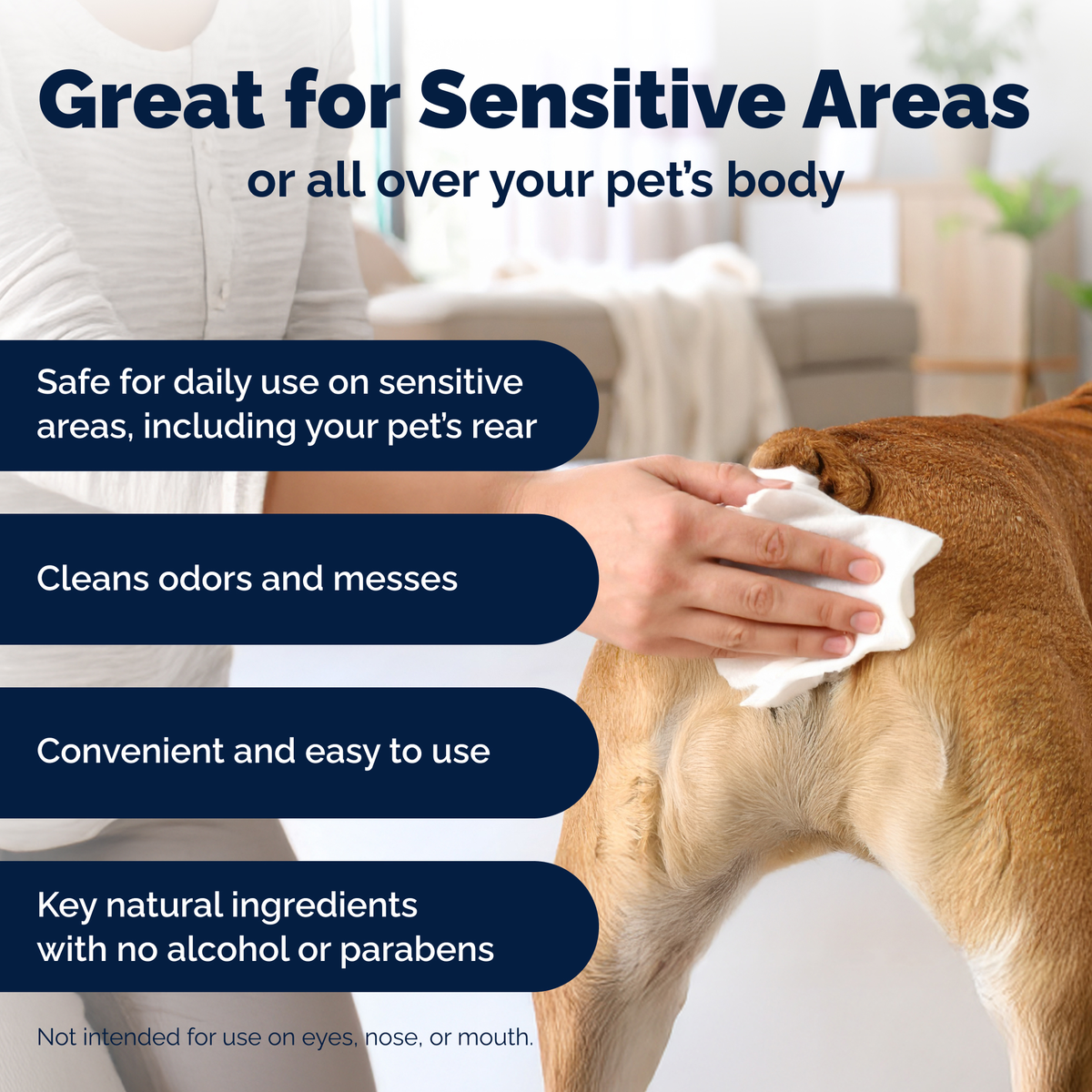 Glandex® Rear-End Hygiene Wipes for Dogs & Cats