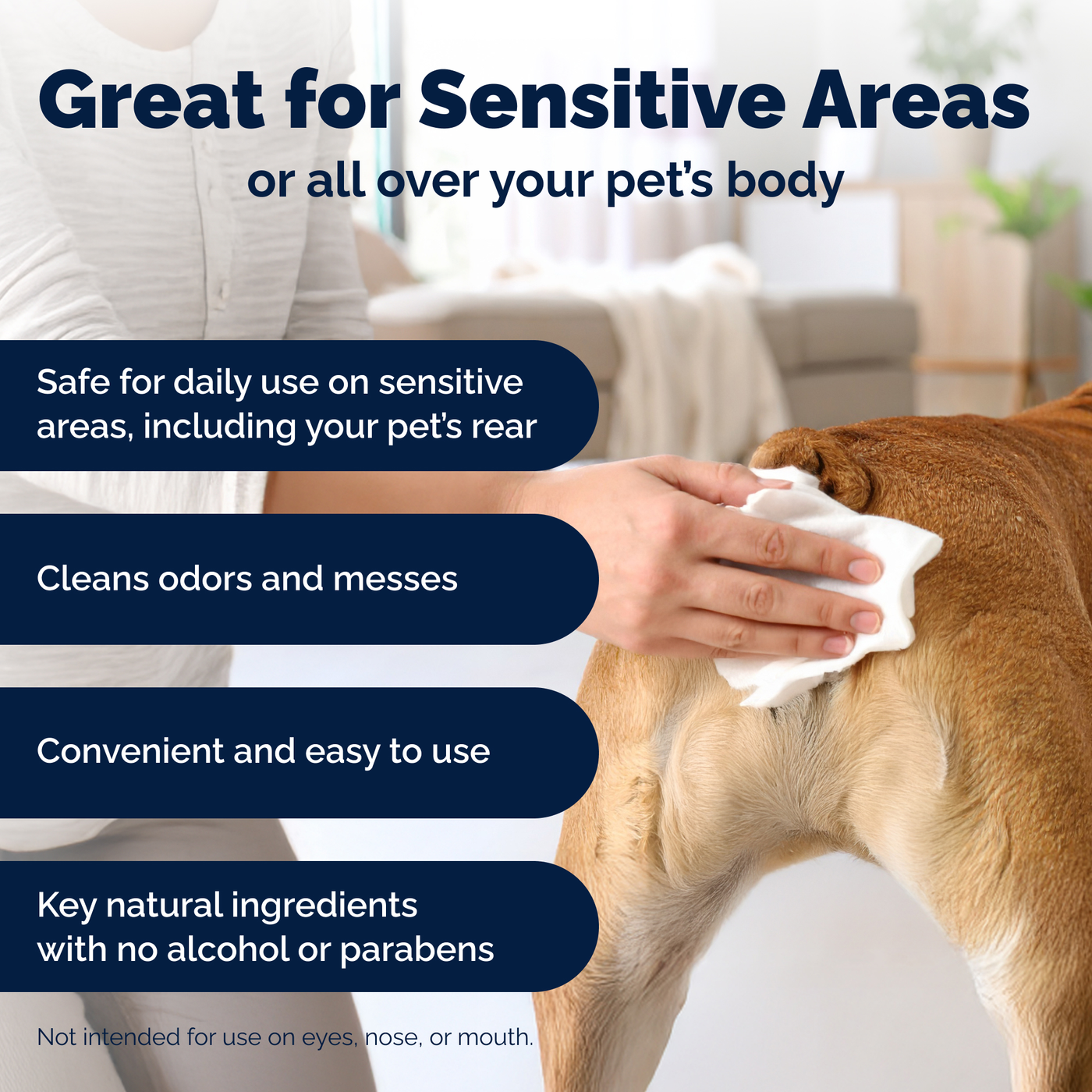 Glandex® Anal Gland Wipes for Dogs & Cats
