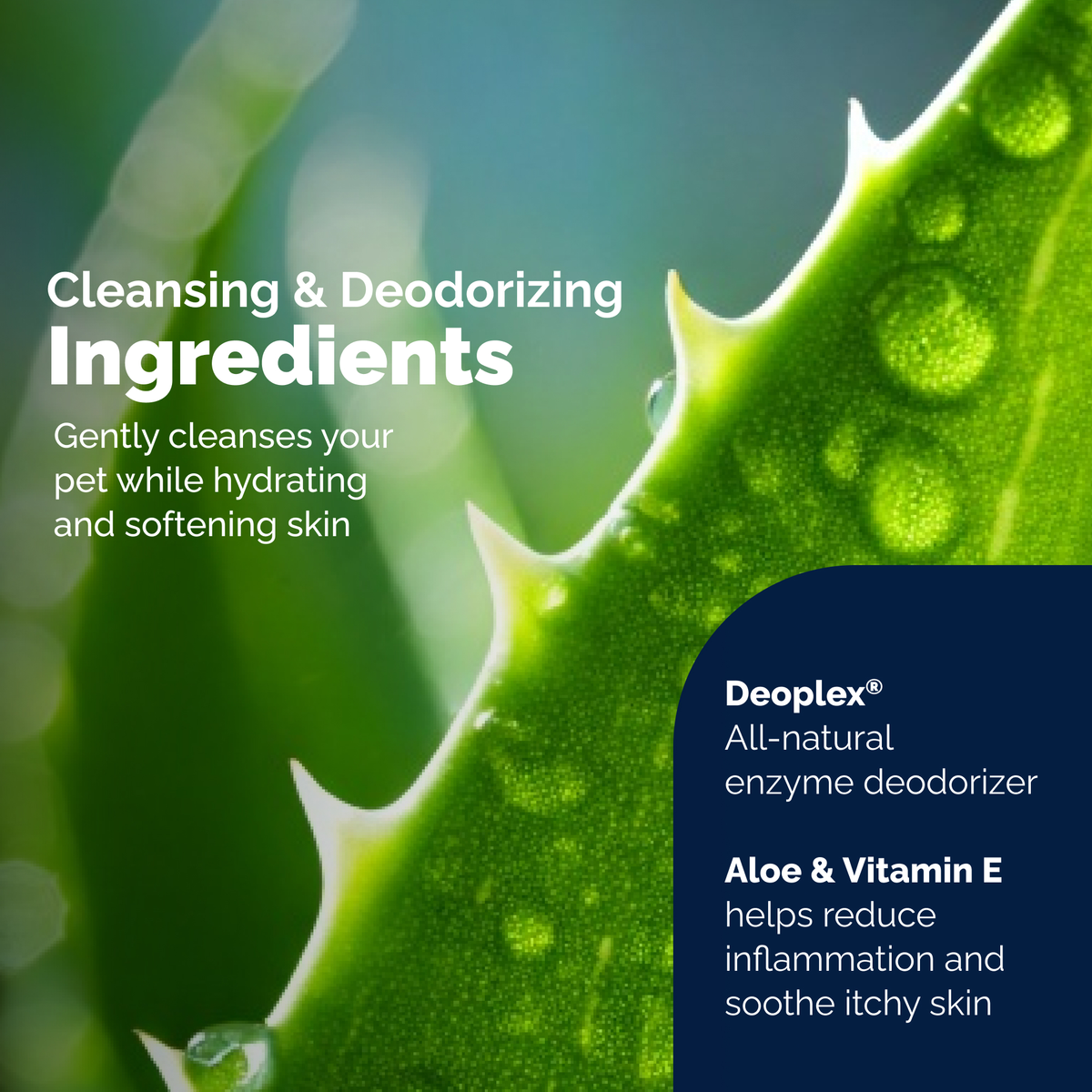 Glandex® Rear-End Hygiene Wipes for Dogs & Cats