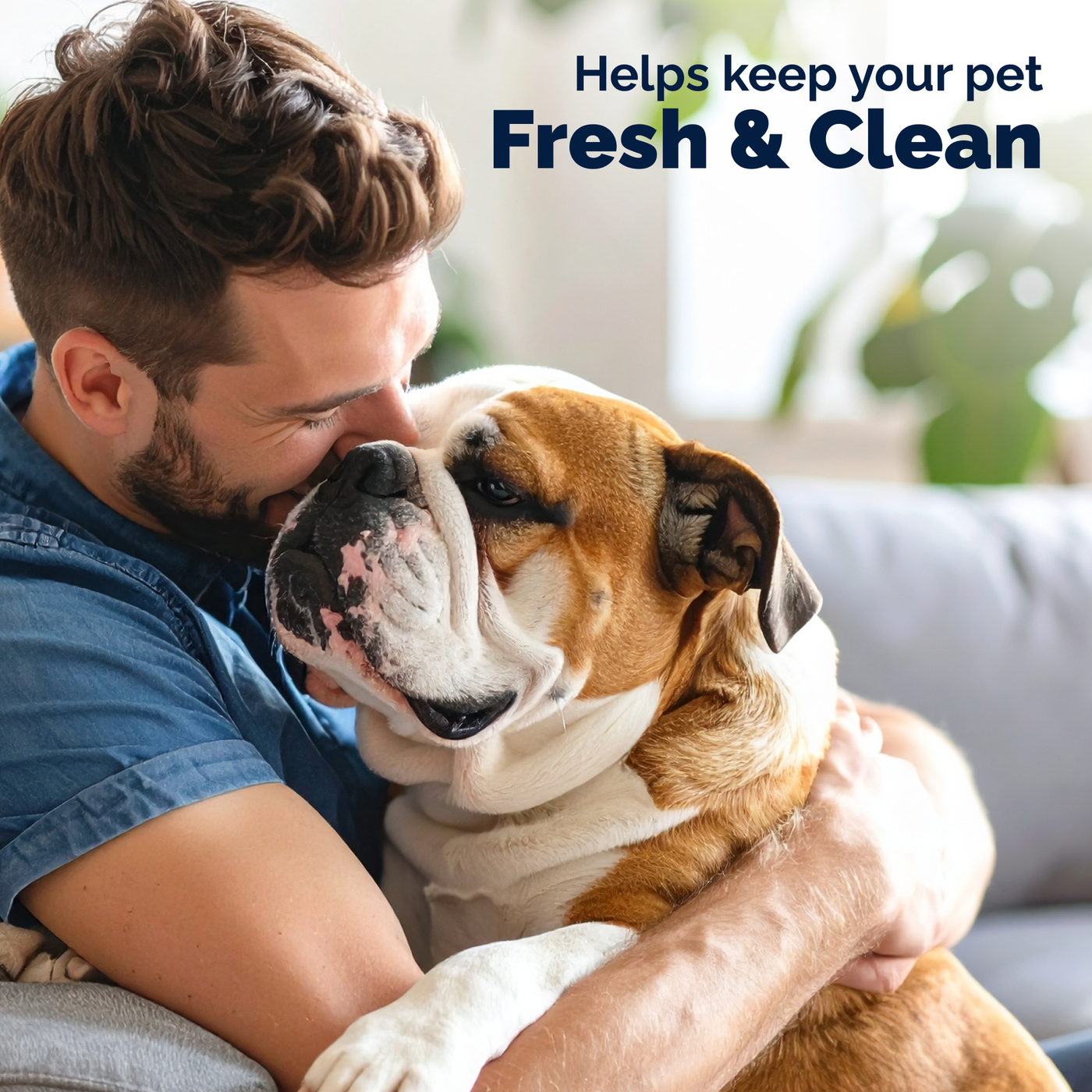 Glandex® Anal Gland Wipes for Dogs & Cats
